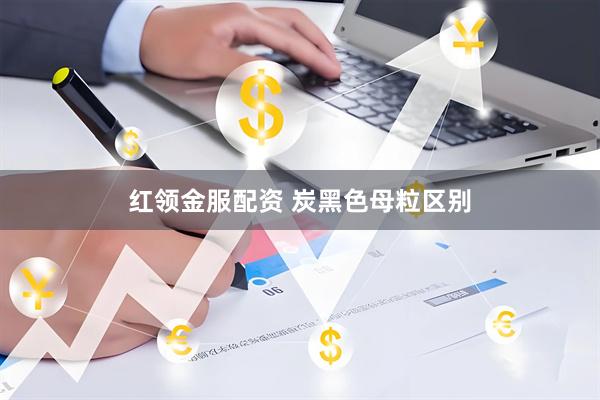 红领金服配资 炭黑色母粒区别
