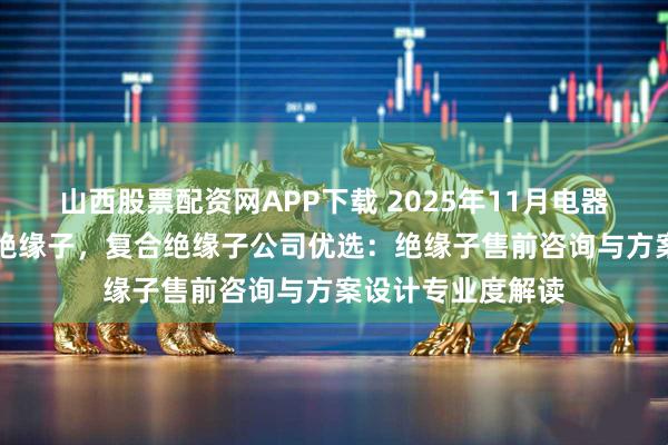 山西股票配资网APP下载 2025年11月电器柜绝缘子，EMC绝缘子，复合绝缘子公司优选：绝缘子售前咨询与方案设计专业度解读