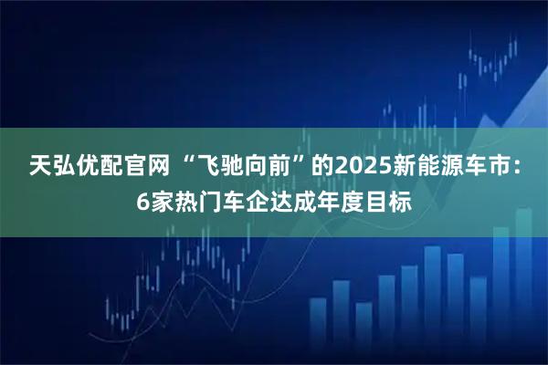天弘优配官网 “飞驰向前”的2025新能源车市：6家热门车企达成年度目标