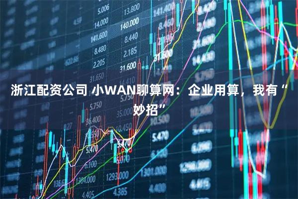 浙江配资公司 小WAN聊算网：企业用算，我有“妙招”